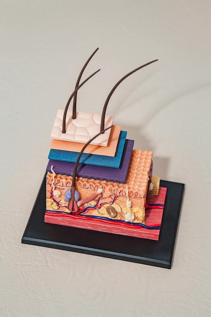 Zestaw trzech haftowanych próbek